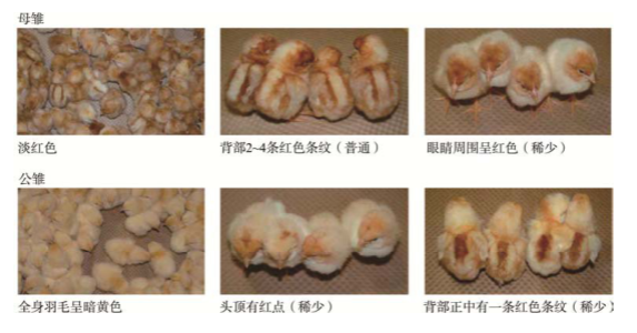 1669166756210329.png 圖片4.png