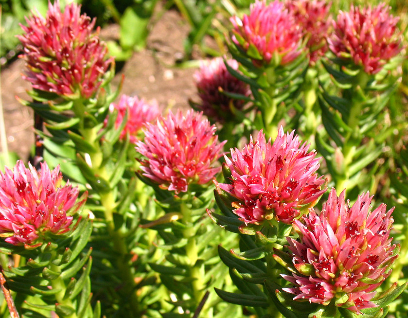 1682564647181727.png 圖片1.png