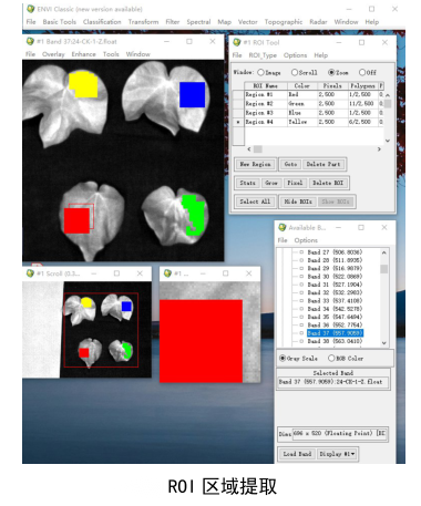 1683162301382414.png 圖片6.png