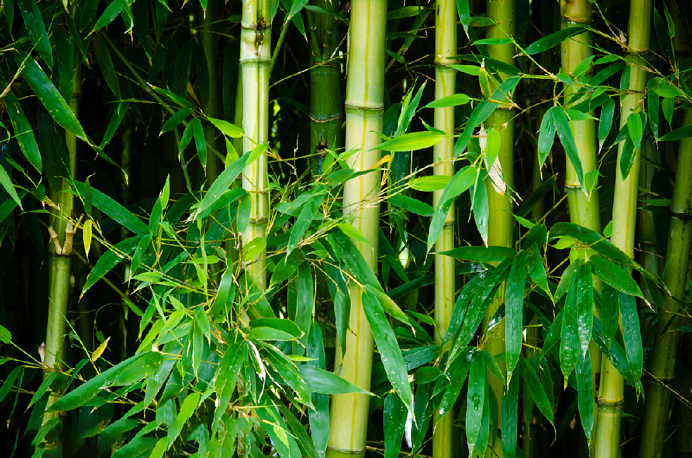 1683248029141047.png 圖片1.png