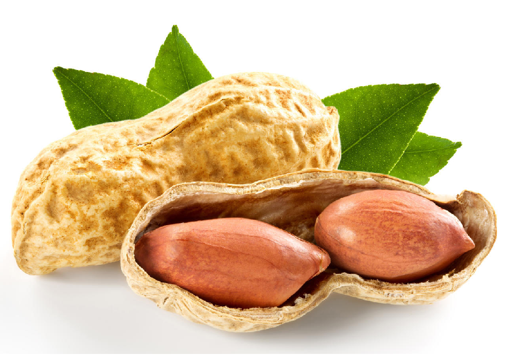 1684745931122371.png 1684745931122371.png