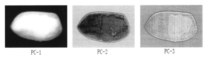 1684745995319202.png 圖片4.png