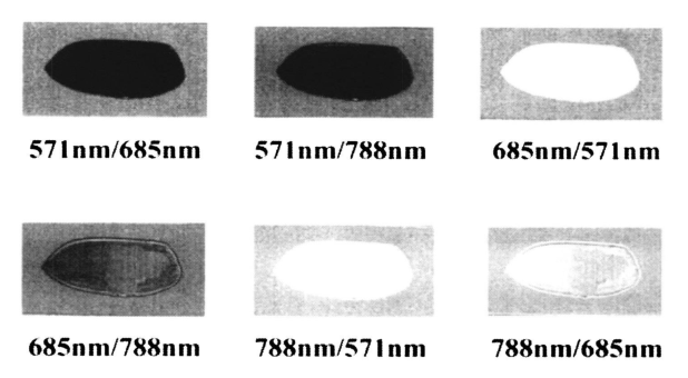 1684746003153542.png 圖片5.png