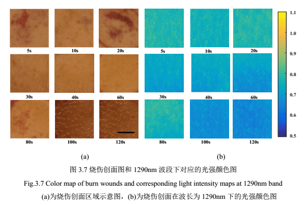 1667446311213261.png 圖片6.png