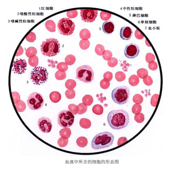 1669344044106148.png 圖片4.png