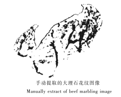 1675065016106653.png 圖片7.png