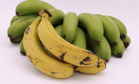 基于高光譜成像技術(shù)的青香蕉碰撞損傷檢測