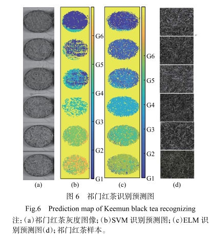 1706775263281741.png image.png