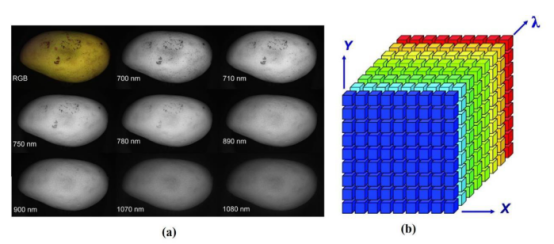 高光譜顯微成像對植物細(xì)胞檢測的研究與應(yīng)用