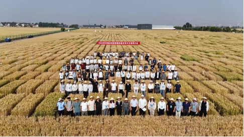 機載高光譜為作物田間表型精準鑒定插上翅膀