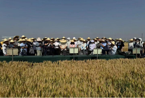 1716951830897494.png image.png