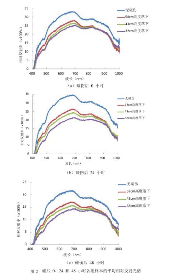 1719453261174590.png image.png