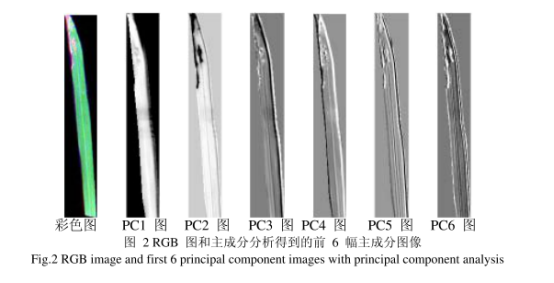 1720409286895317.png image.png