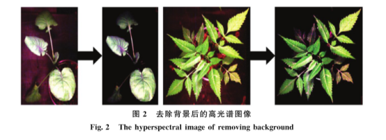 1720680088249167.png image.png