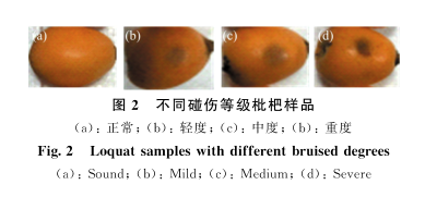 1721265623167349.png image.png