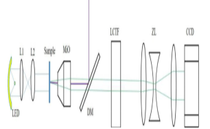 1728612171834378.png image.png