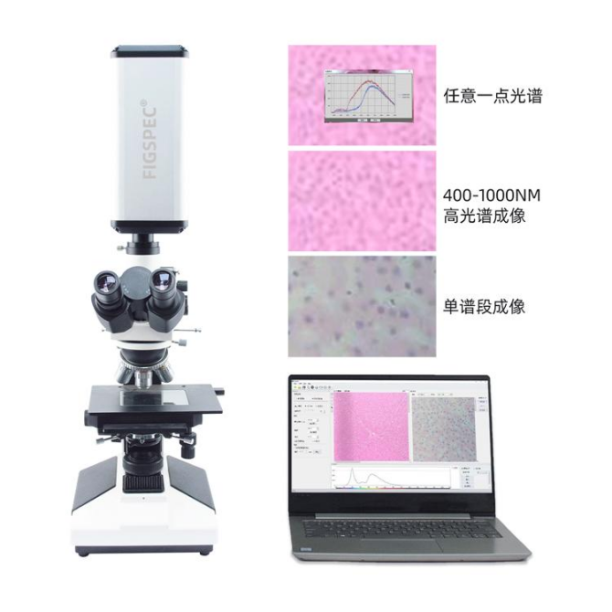 1752655195112217.png 1752655195112217.png