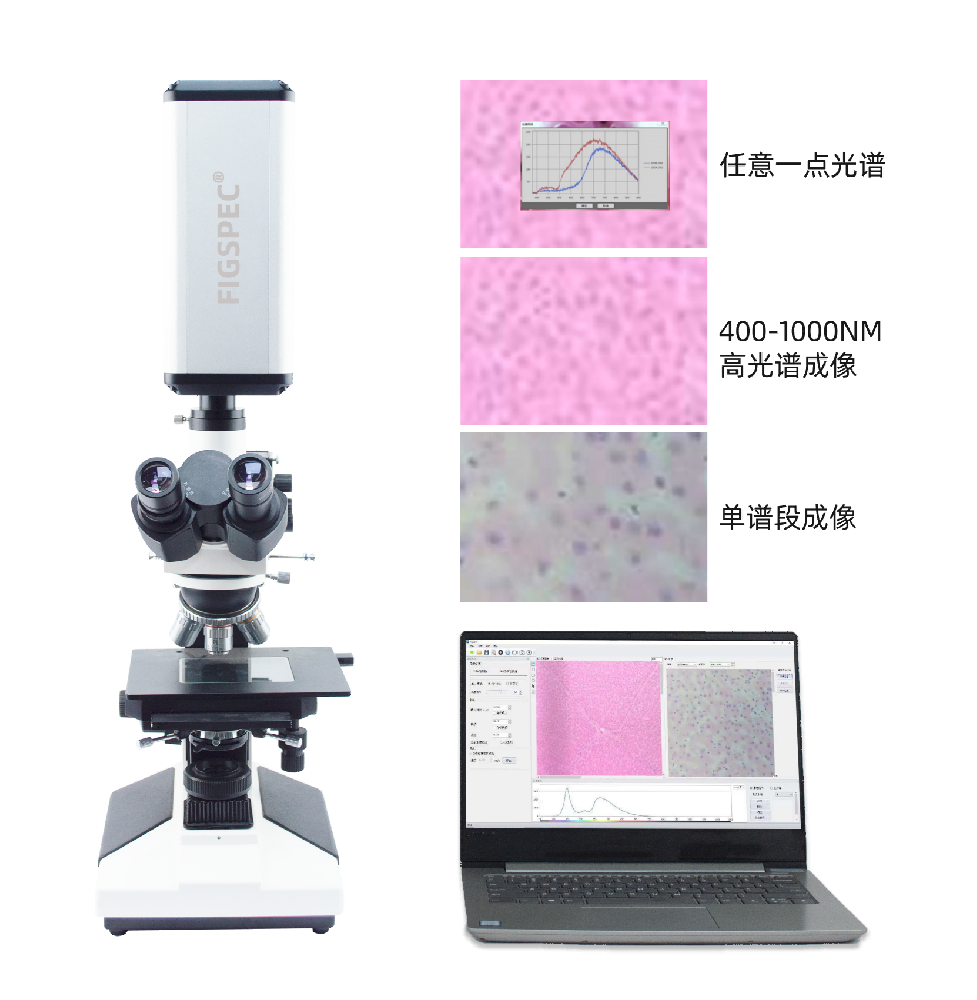 彩譜顯微高光譜成像系統.png
