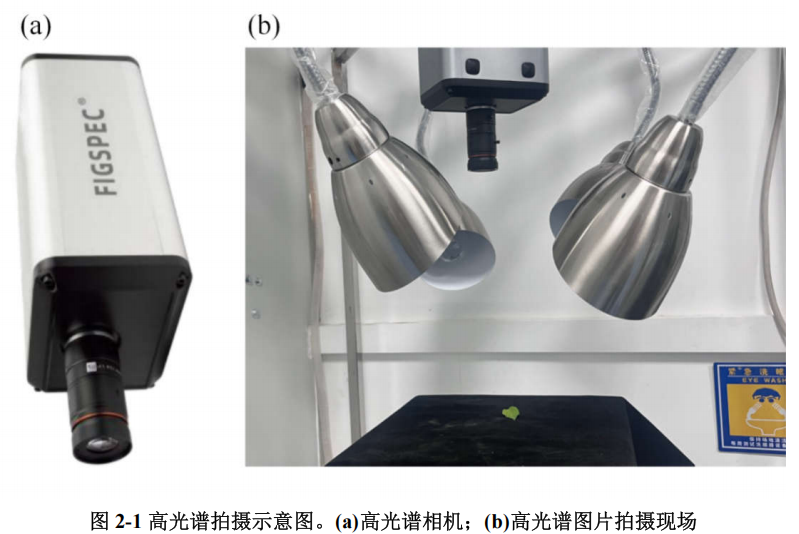 1765269905194513.png 圖片2.png